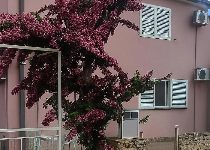 Roza Mirce