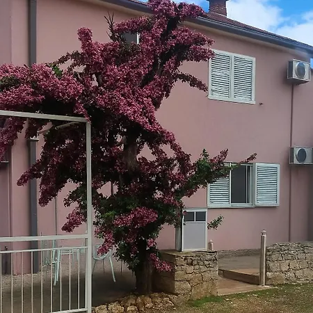 Roza Mirce