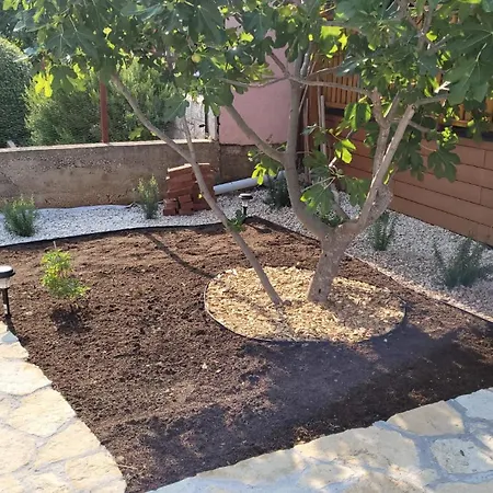 Roza Tatil Evi *